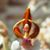 Maria Teresa Aparicio Lecaros's profile image