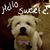 Carol Van Heeswyk's profile image