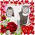 Karen Domanico's profile image