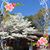 Cheryl Green's profile image