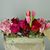 Anna Donato-Ghani's profile image