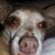 Teresa Kelley Pate's profile image