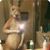 Brent James Wargas's profile image