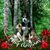 Lynne Phillipson's profile image