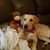 June Schmelz Vasilakis's profile image