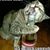 Mark R. Mitchell's profile image