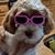 Jonathan Laubin's profile image