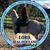 Karen Kiehl's profile image
