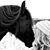 Tammy Seger-Friederich's profile image