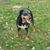 Vicki Gray Frost's profile image