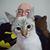 Andy Cianciolo's profile image