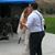Misty Michelle Brown's profile image