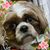 Kim Mannino's profile image