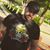 Jose Ranferi Ortega's profile image