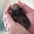 Theresa Ann Chavez's profile image