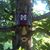 Glenn Alton Brumfield's profile image