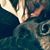 Maggie Rufkahr's profile image
