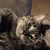 Joe Yurch's profile image