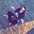 Brooke Brode's profile image