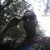 Javiaven Nathan's profile image