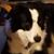 Minna Schaeffer-Snee's profile image