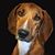 Jennifer Ann's profile image