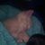 Sarah Busler's profile image