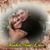 Sarai Aranda David Romero's profile image