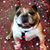 Jenny Glasgow Frazier's profile image