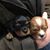 Lisa Landberg- Korbel-Norman's profile image