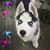 Kimberly Schmitz's profile image