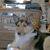 Thomas Pawley's profile image