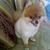 Loretta Offord's profile image
