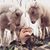 Kristen Sassano Gill's profile image