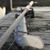 Kevin Underwood's profile image