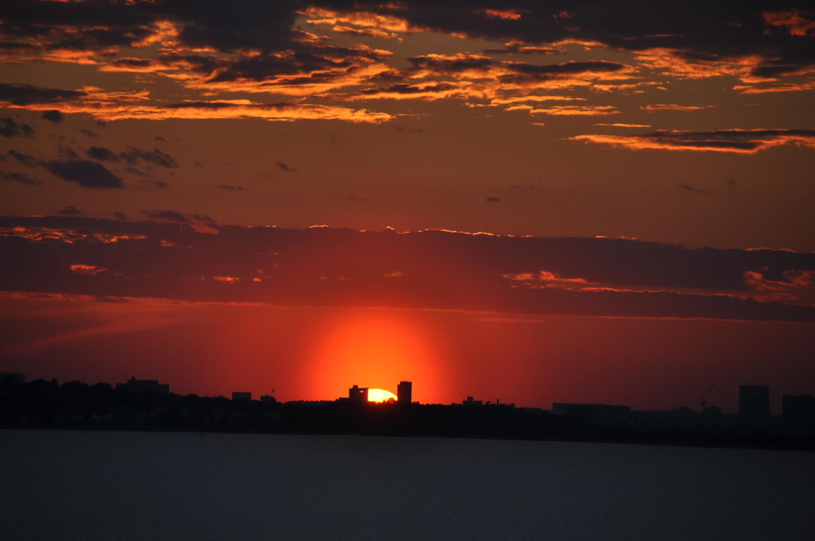 Ellen A.'s profile image