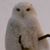 Marjorie Jones's profile image