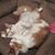 Nancy Welch Rose's profile image