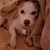 Terry Krausse's profile image