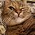Whitney Adams's profile image