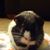Paula Robinson's profile image