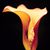Joy Love's profile image