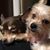 Debra Dellinger Thomas's profile image