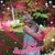 Angel Fusco's profile image