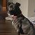 Sherie Labedis's profile image