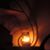 Mothman Passacaglia's profile image