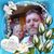 Tonya Little's profile image