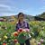 Katie Kim's profile image
