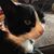 Brenda Angstadt's profile image