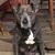 Mark Hersman's profile image
